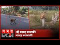 Found on YouTube: খাদ্য সংকটে লক্ষীকান্দরের লোকালয়ে হনুমান | Monkey | Magura News | Somoy TV