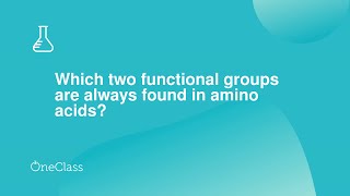 Which two functional groups are always found in amino acids?