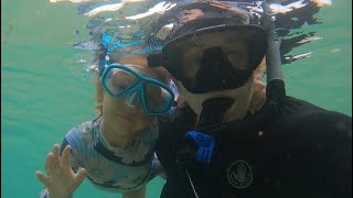 Sharks Cove | Hawaii | Family Snorkeling | Kids Snorkel With Sea Turtles