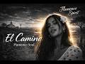 El Camino Asha Solara Flamenco Soul Flamenco Spirit 