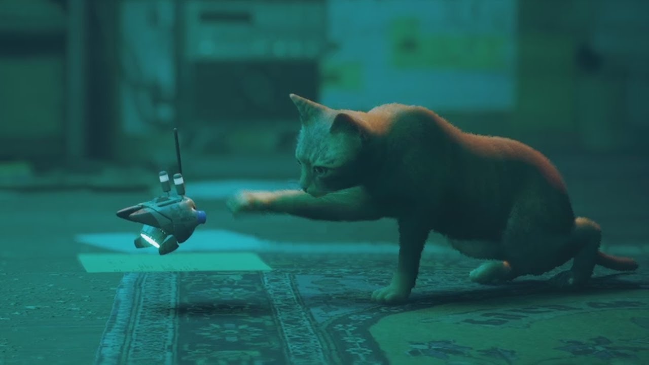 Vicious Predator | Stray | Part 3