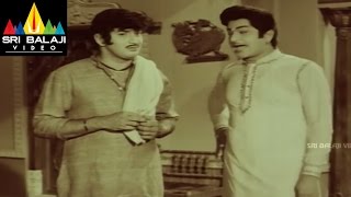 Mallamma Katha Movie Krishna Introduction Scene Krishna, Sharada Sri Balaji Video