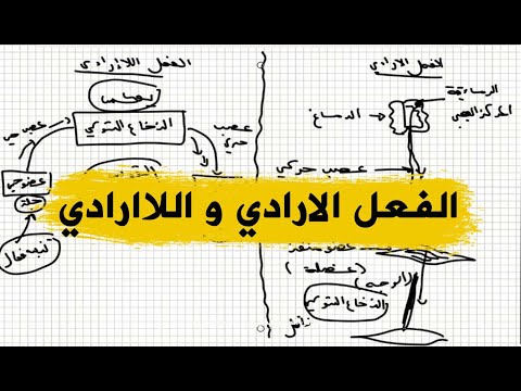 فيديو: مخطط حركي. الرسم التخطيطي الحركي للمحرك. مخططات الآليات الحركية