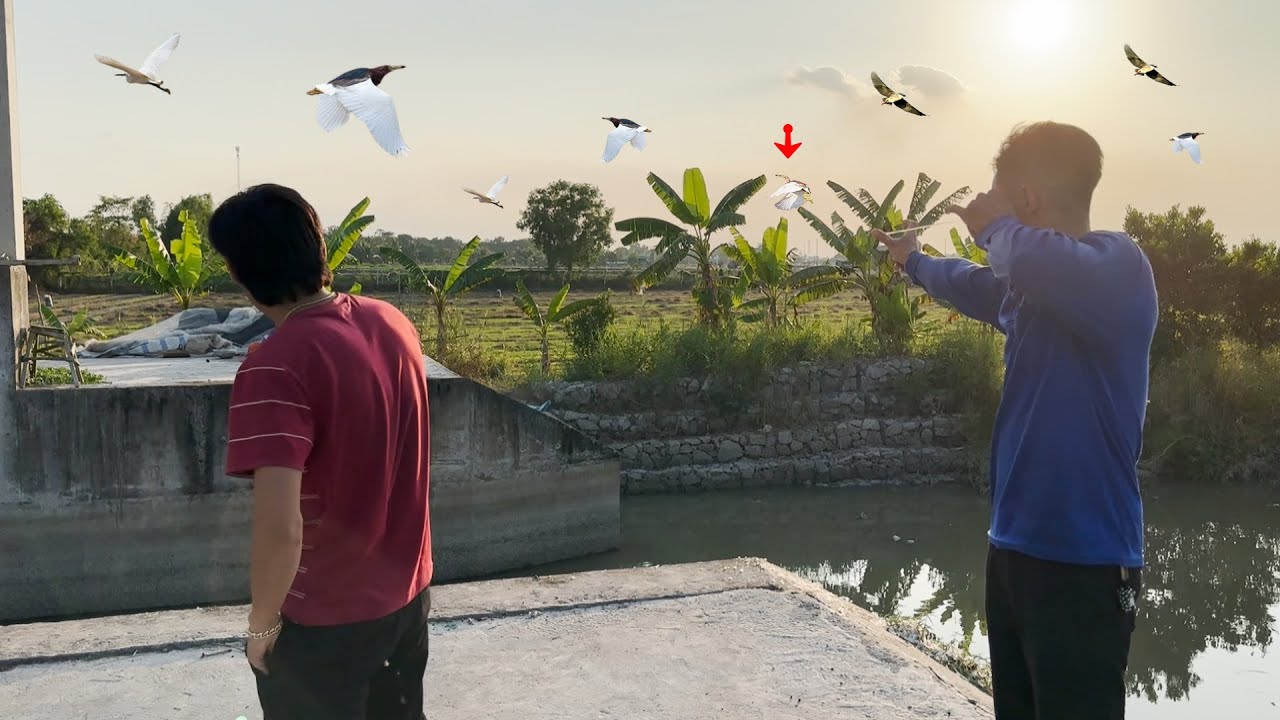 Góc truyền thống và thun Avengers hạ vài chú cò đang bay || Đảm Nguyễn