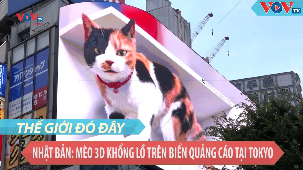 Mèo 3D khổng lồ, một sản phẩm hoàn toàn mới toanh, chắc chắn sẽ khiến bạn trầm trồ kinh ngạc. Với khả năng tái hiện chi tiết tuyệt vời và sống động nhất, mỗi chú mèo 3D to lớn đều sẽ trở thành điểm nhấn của bức ảnh và các bộ phim.