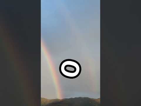 double rainbow and the 2 birds