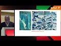 Desinformação e Democracia: Polarização e Narrativas falsas - Parte 2