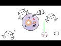 The Cosmic Price Tag & The Shy Electron (Non-Genius Guide to Quantum Physics Part 3)