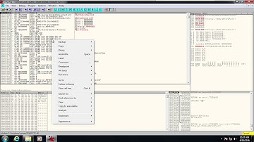 Ollydbg Video 1