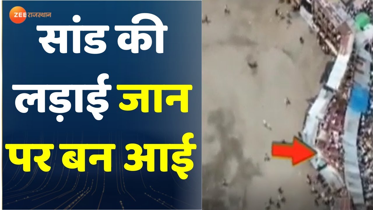 Colombia Viral Video : सांड की लड़ाई जान पर बन आई | Breaking News | Latest News | Update News |