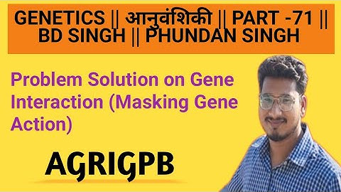 Genetics -71: Problem solution on gene interaction (Masking Gene Action) #agrigpb #agri #genetics