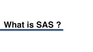 What is SAS screenshot 3