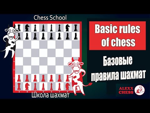 Chess.Basic Rules of chess.How to play chess.Шахматы.Базовые правила шахмат.Как играть в шахматы