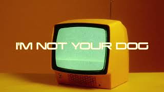 Tristan Miller - I&#39;m Not Your Dog (Lyric Video)