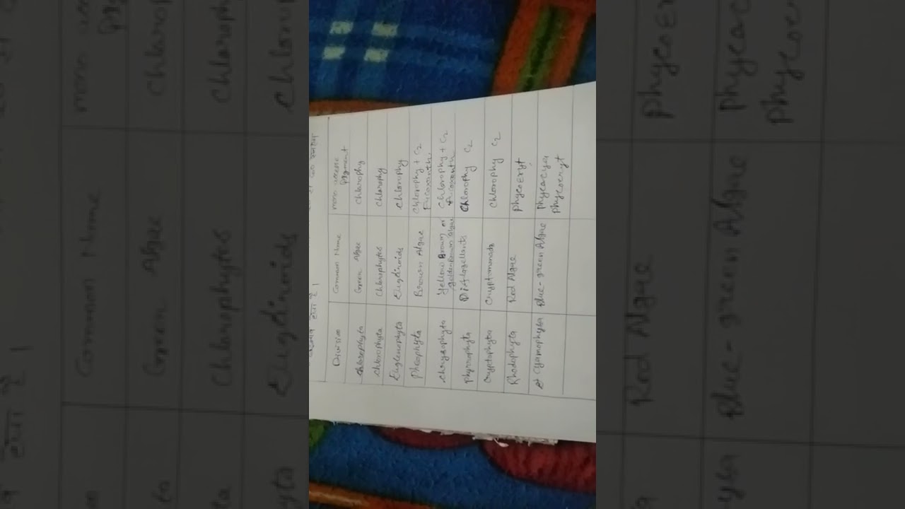 Composition  findings of 