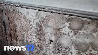 Bronx landlord tops NYC's 100 Worst Landlords list | News 12