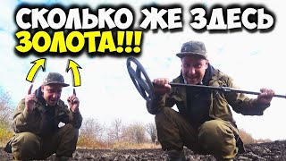 ЗОЛОТОЕ ПОЛЕ! Коп ЗОЛОТА и древних МОНЕТ с МЕТАЛЛОИСКАТЕЛЕМ! Неужели это КЛАД ЗОЛОТА?