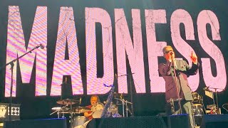 Madness - In My Street, Live 2019