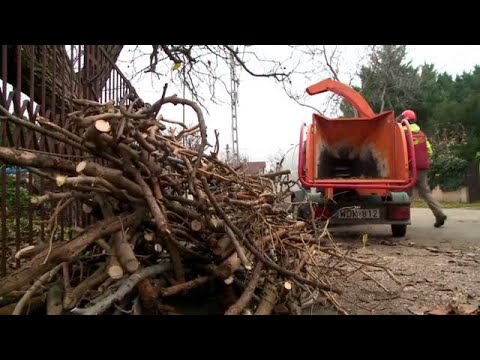 Videó: Hogyan Lehet Regisztrálni A Munkaügyi Központba