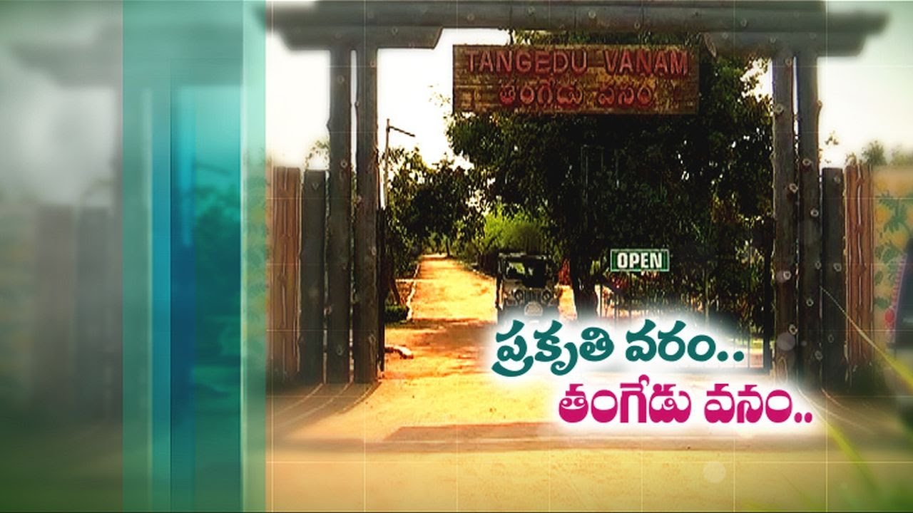 Tangedu Vanam in Choutuppal | Heaven for Tired Twin Cities People | With  Greenery & Nature's Beauty