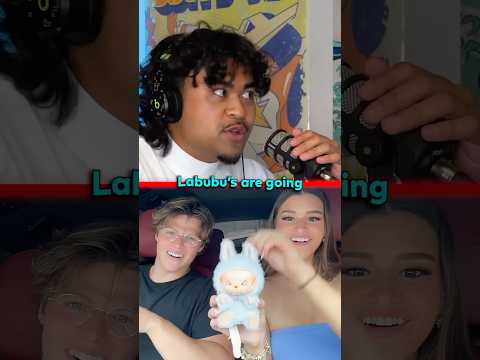 LABUBU TOYS ARE