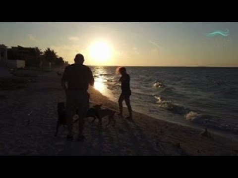 YouTube video