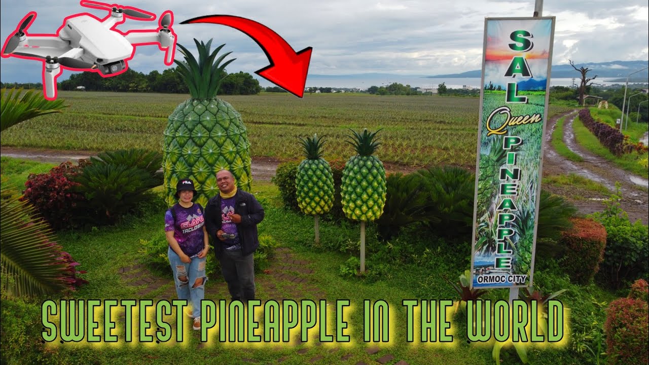 SAL Queen PINEAPPLE PLANTATION Ormoc City Bypass road YouTube