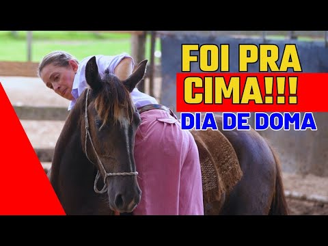 MULHER DOMANDO CAVALOS NA CABANHA TUPAMBAÉ