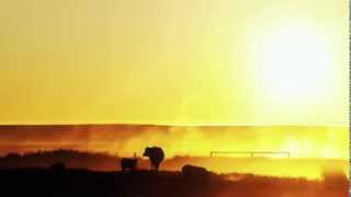 All Star DCJ in Amarillo, Texas - Hard Working Ram Truck Month