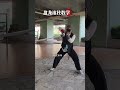 Teaching of the Coiled Dragon and Rolling Pillar swordsmanship Tang s Horizontal sword Coi
