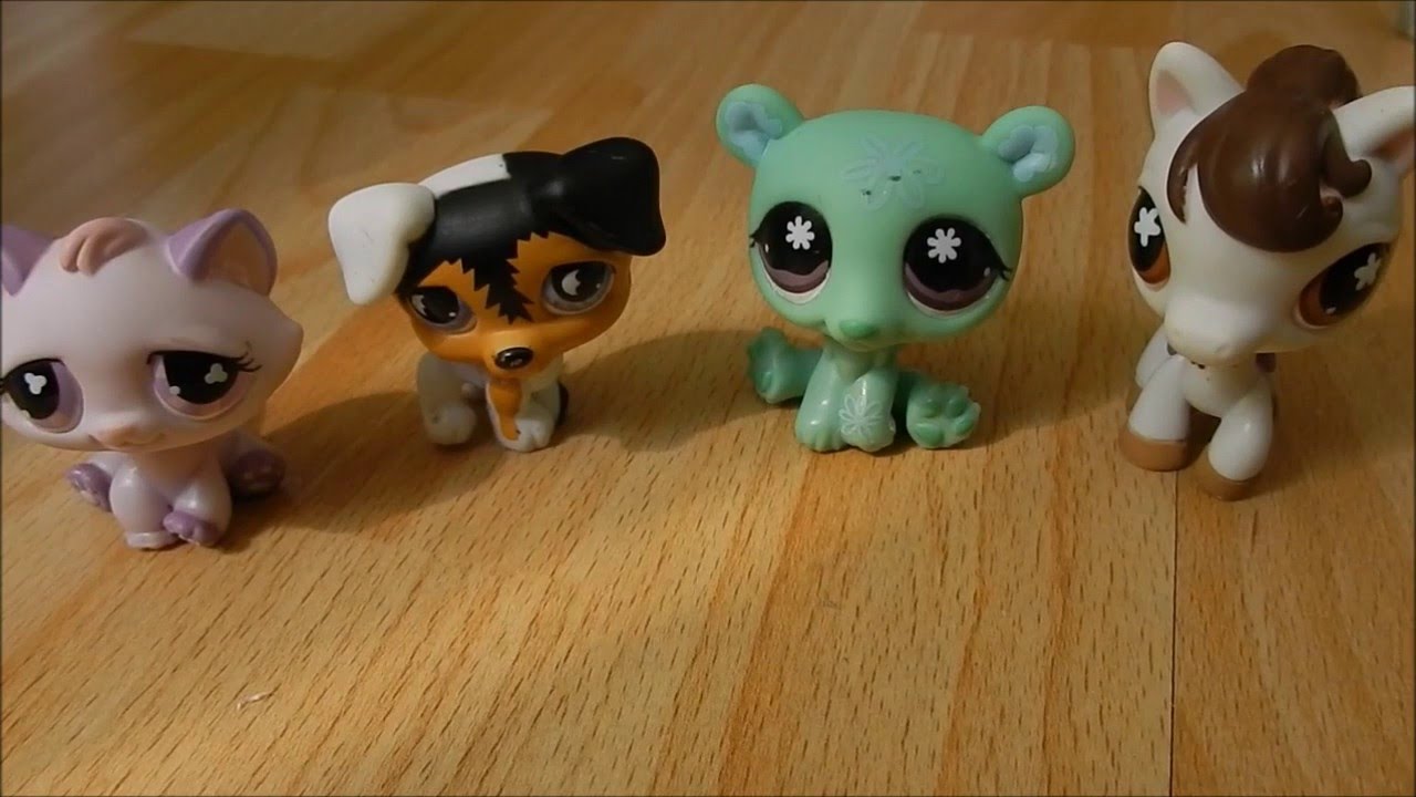 [TUTO PETSHOP] : Comment nettoyer son Petshop ? - YouTube