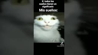 código gatito 🗣️🔥 #allahﷻallahﷻ