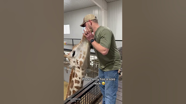 This Oklahoma chiropractor went viral for helping out with Gerry the giraffe’s neck #shorts