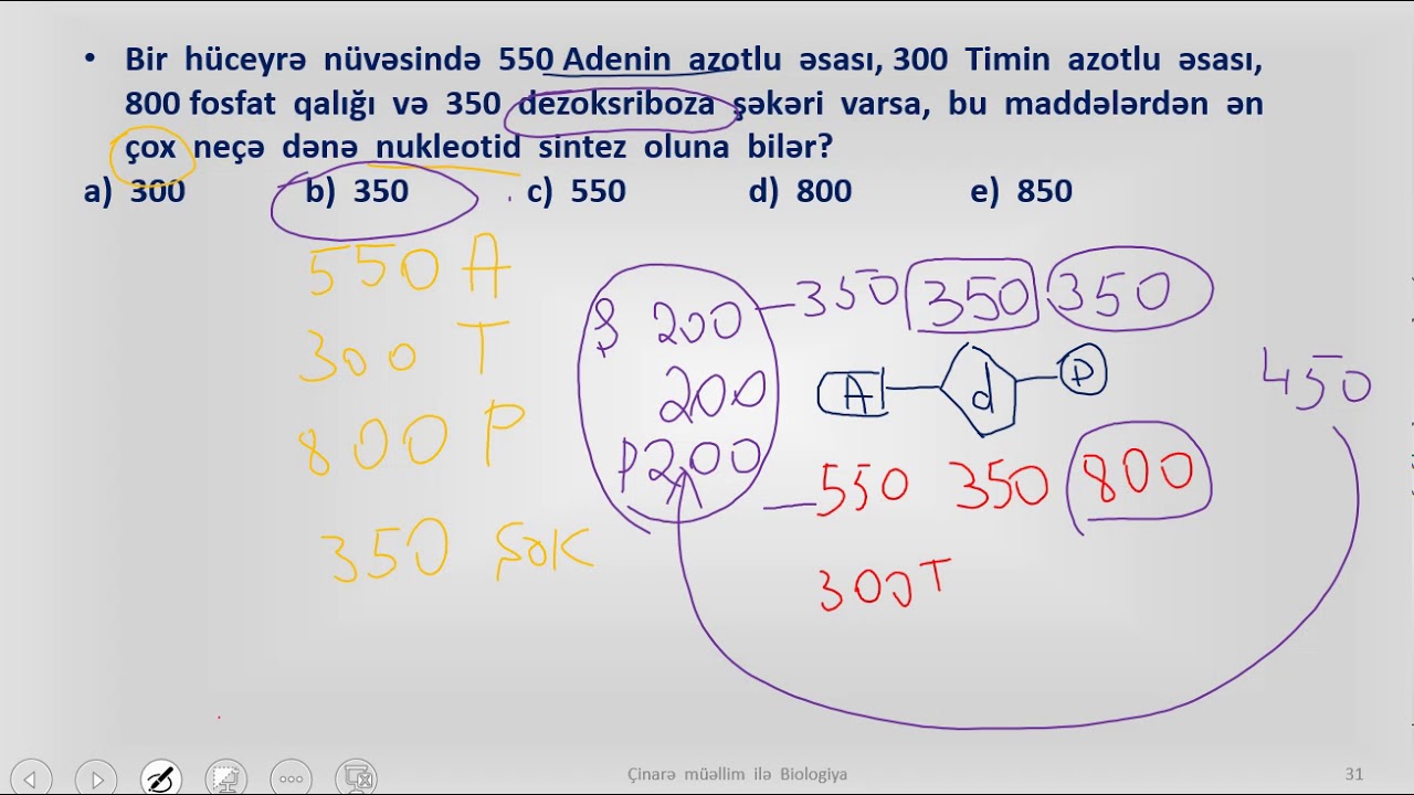 DNT (tapşırıqlar)