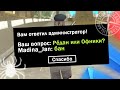 РЕАКЦИЯ АДМИНОВ НА &quot;РЕДАН ИЛИ ОФНИКИ?&quot; В РЕПОРТ [Arizona RP]