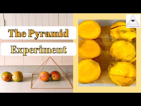 Preserving Mangoes With A Pyramid 12 Day Pyramid Experiment PYRADYNE