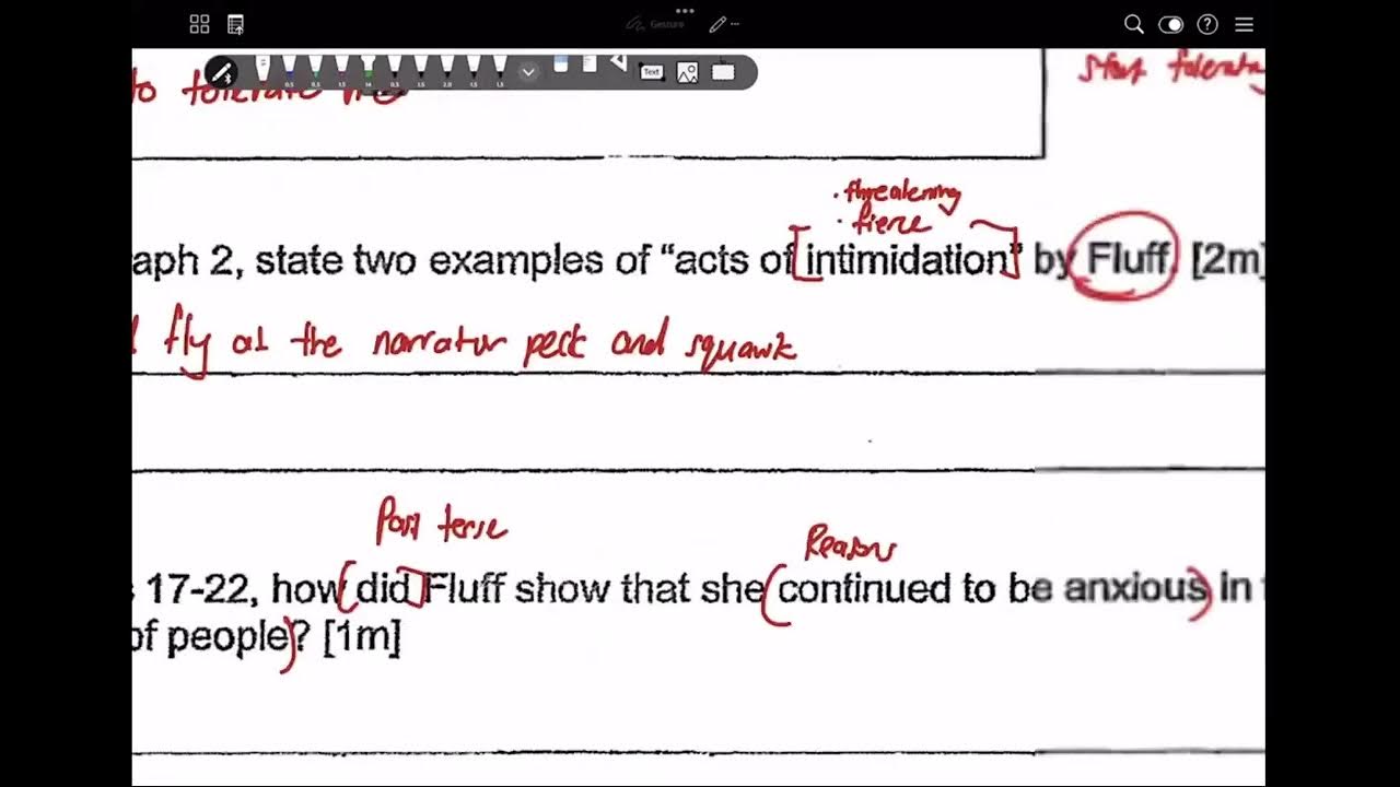 Henry Park 2022 P6 Prelim English How to ace Singapore PSLE