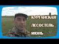 ЛЕСОСТЕПЬ. ИЮНЬ. ЗАСУХА И ХОЛОД