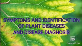 SYMPTOMS AND IDENTIFICATION OF PLANT DISEASES AND DISEASE DIAGNOSIS