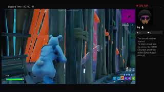 Box Fights Duos