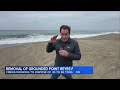 Tons of 'nasty' rotting squid in grounded boat at Point Reyes beach creating challenge for crews