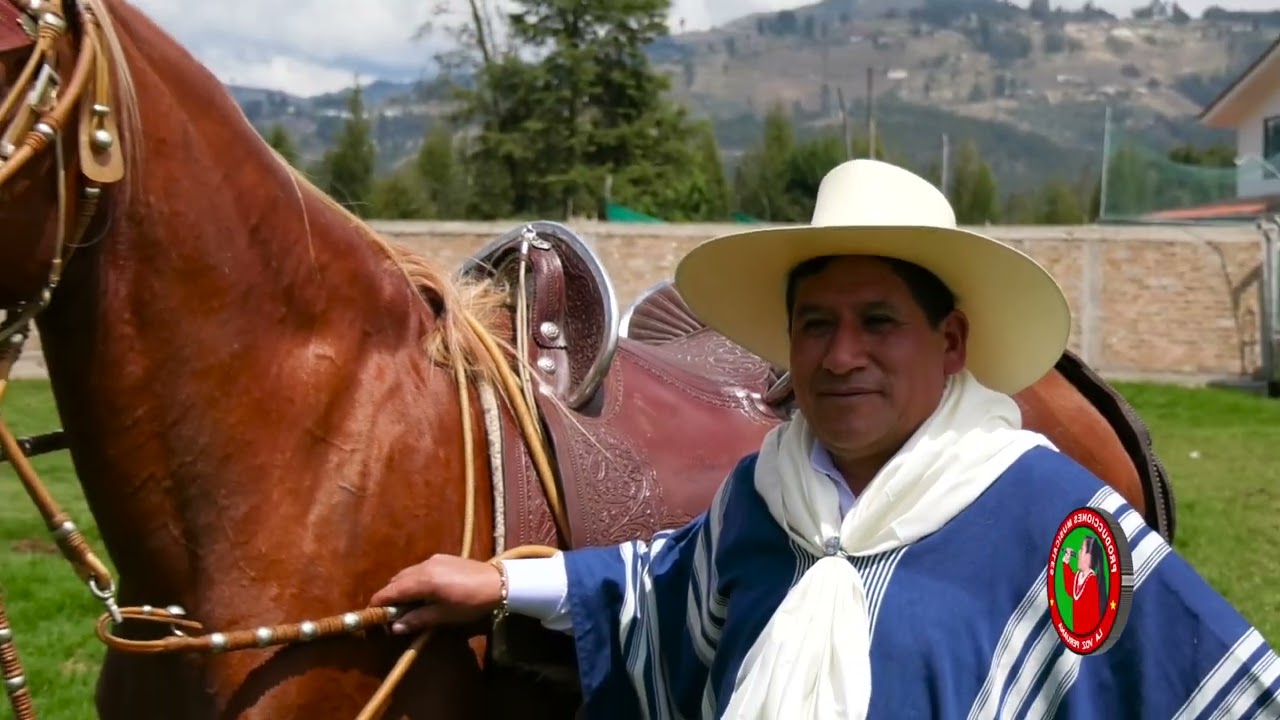 MI CELENDINA - LOS PIONEROS DEL HUAYNO CAJAMARQUINO - VIDEO OFICIAL 2023