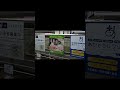 ガッツレンタカーOK牧場