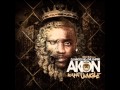 Akon feat. Money J – Slow Motion Lyrics