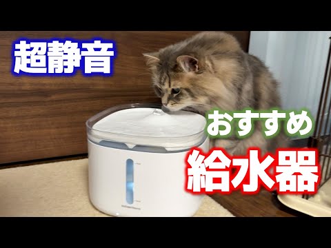 An automatic water dispenser recommended for cats and dogs! Super