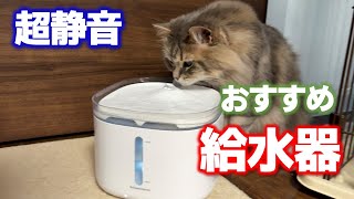 An automatic water dispenser recommended for cats and dogs! Super
