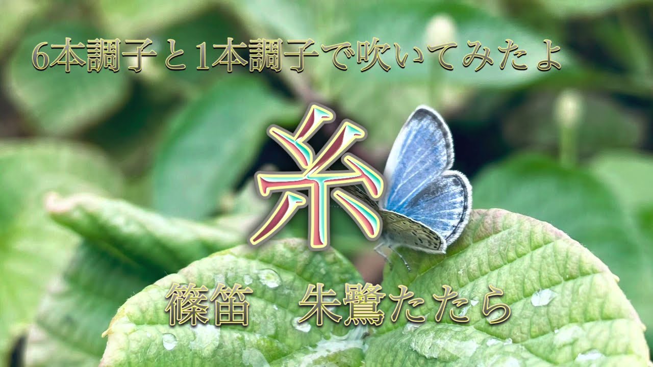 演奏してみた「糸」篠笛6本調子・1本調子 朱鷺（とき）たたら ＃笛