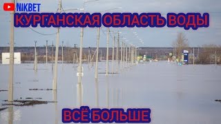 ‼️КУРГАН ПАВОДОК. ОБСТАНОВКА НА 18 АПРЕЛЯ