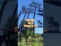 🌹 Warwick Top 5 Things to Do #warwick #queensland #queenslandaustralia