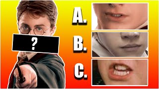 Guess The Harry Potter Character By Their Mouth | Harry Potter Quiz (Many Characters!)
